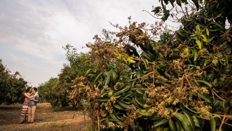 Pré Casamento Jundiai | Carol e Julio