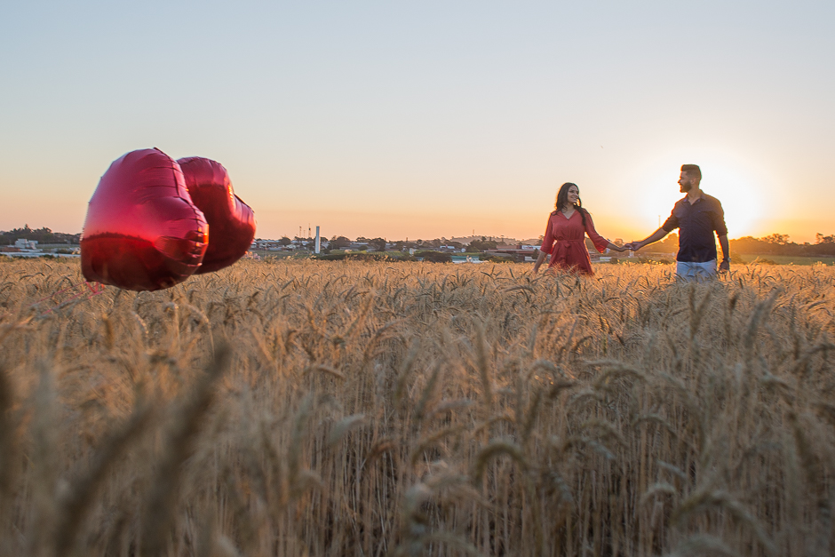 CAPA fotografo de casamentos em jundiai leonardo laprano fotografia ensaio pre casamento hellen e juninho holambra cidade das flores leonardo laprano fotografia-1