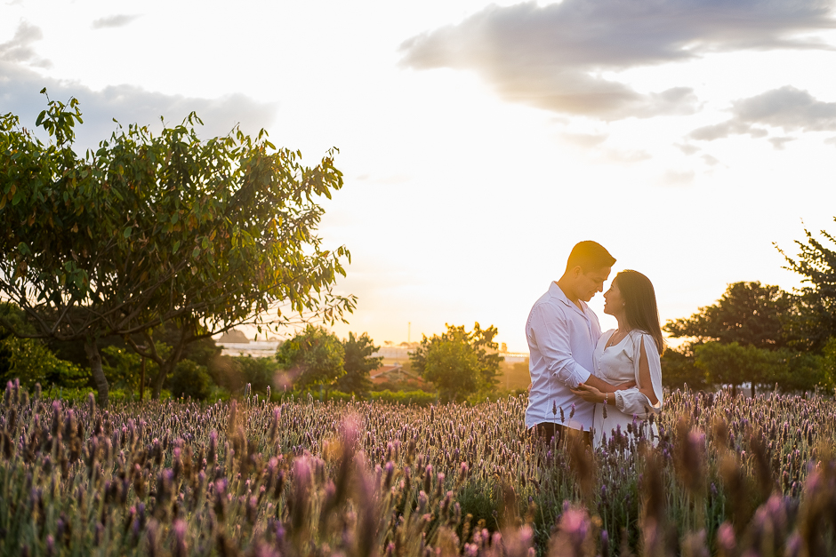 CAPA ensaio fotografico pre casamento holambra bloemen aprk leonardo laprano fotografia casamentos e familia ensao pre casamento em holambra-1